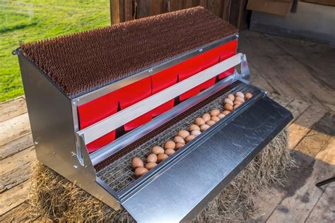 The Harris Farms 2-hole nesting <b>box</b> is another metal nesting <b>box</b> designed for slightly smaller flocks. . Bestnest box